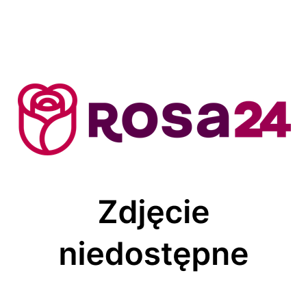 Ibuprofen Zentiva tabletki powlekane 400 mg 50 tabletek